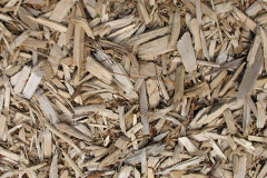 biomass boilers Cess